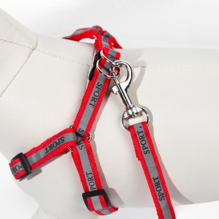 Sports set a reflective, leash 120 x 1 cm, fire 23-35 cm, red-5