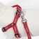 Sports set a reflective, leash 120 x 1 cm, fire 23-35 cm, red