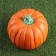 Garden figure "Little pumpkin" 19x24cm