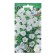 Flower seeds bell "first date", euro, 0.1 g