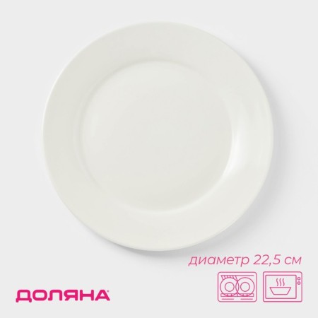 Porcelain plate lunch with a thickened edge of the White Label, 300 ml, d = 22.9 cm, white color