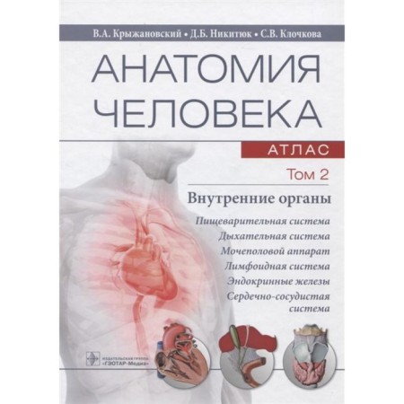 Human anatomy. In 3 volumes. Volume 2. Internal organs. Kolesnikov L.