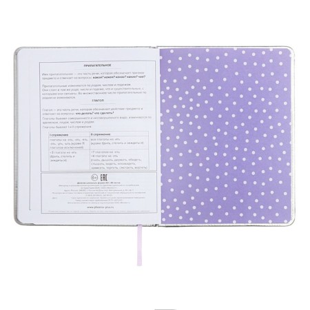 School diary for grades 1-11 "cat", firm covering with foam, artificial leather, application, foil embossing, liesse, 48 sheets, universal cheat sheet, block 80g/m2-13