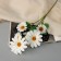 Artificial flowers "Cosmea Lady Galant" 57x8 cm, white