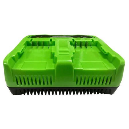 GreenWorks G24X2UC2 charger, 2 batteries, 24 V, 2 A, 1.1 kg-2