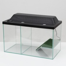 Aquarium is a terrarium with a lid and a bridge, 35 liters, 50 x 25 x 30 cm, black