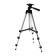 LED ring lamp on a tripod Luazon SNP098, 10 "(26 cm), 20 watts, tripod 27-85 cm
