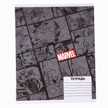 Notebook in a cage 24 sheets, 4 types of mix, cover covering cardboard, Avengers-4