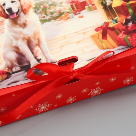 Box a gift New Year's folding bilateral “Winter will give miracles”, 20 x 18 x 5 cm, New Year-4
