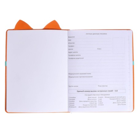 Universal diary for grade 1-11 Fox, hard cover, artificial leather, foam rubber, lies, 80 g/m2-3