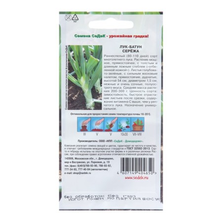 Seryozha F1 Batun seeds, 0.3 g-1