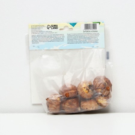 Gladiolus corrugated "vuvouzla Frizzl", rr 8/10, 7 pcs,-1