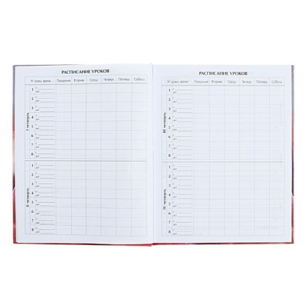 Diary for grades 5-11 "kittens in the clouds", hard cover, holography, 48 sheets-5