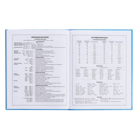 Diary for grades 5-11, 48 sheets "Inspiration!", Firm cover, glossy lamination, block 60 g/m2-12
