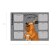 Schedule A3, Erichkrause "Happy Capy", coated cardboard