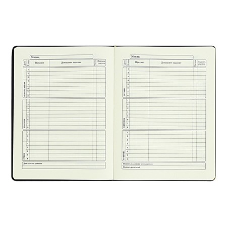 Diary 1-11 Grade "Kisul Vasily", artificial leather, foam, foil embossing, 48 sheets-8