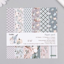 A set of scrapbooking paper 24 sheets 12 projects 