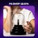 Set for experiments "New Year's plasma lamp"