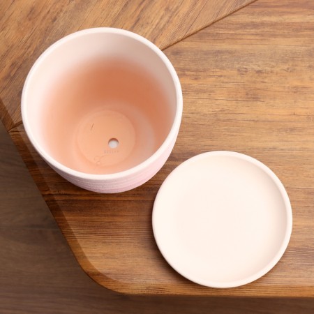 Pot Flower Boule up Pink Crocus No. 3, 2.3 L, D - 17.7 cm-3