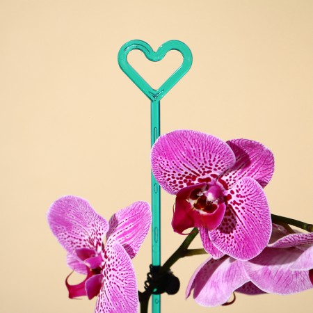 Support for orchids, h = 44 cm, plastic, turquoise, mix-7
