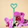 Support for orchids, h = 44 cm, plastic, turquoise, mix