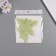 Stick Paper "Butterflies with leaves" matte green set 12 pcs 12 cm, 10 cm, 8 cm