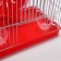 A cell for rodents equipped RT-2Q, 22 x 16 x 20 cm, red (packing 30 pcs)