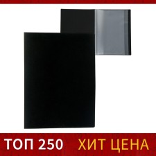 Folder with 10 A4 inserts, 500 μm, calligrata, texture 