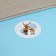 Stickers in the roll "Deer", 500 pcs, 3.8 x 3.8 cm