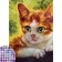 Diamond mosaic with partial filling on the canvas "Kitten", 15 x 21 cm