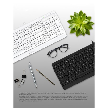 Keyboard A4Tech FSTYLER FK15 Black USB (FK15 Black)-4