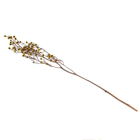 Dry flowers “Molchy Mile”, 25 g, length - 70 cm, yellow color-3