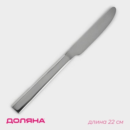 A stainless steel knife Gleen shade, length 22 cm, thickness 2 mm, silver color