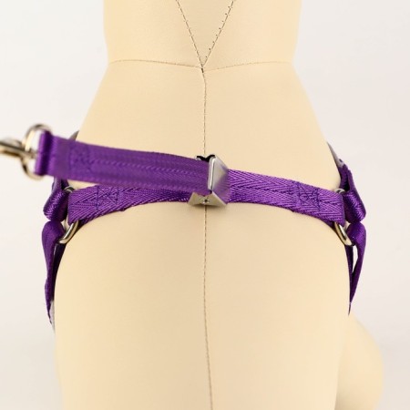 Soft harness kit, leash 120 x 1 cm with a swivel, s, Osh 26-67 cm, og 26-67 cm, purple-3