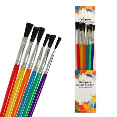 A set of brushes nylon 6 pieces, flat, with plastic colored handles