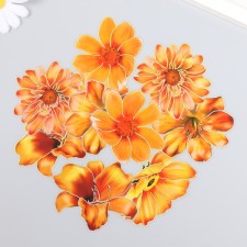 Stickers for creativity 