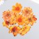 Stickers for creativity "Orange flowers" set 10 pcs 0.2x8.5x13.3 cm