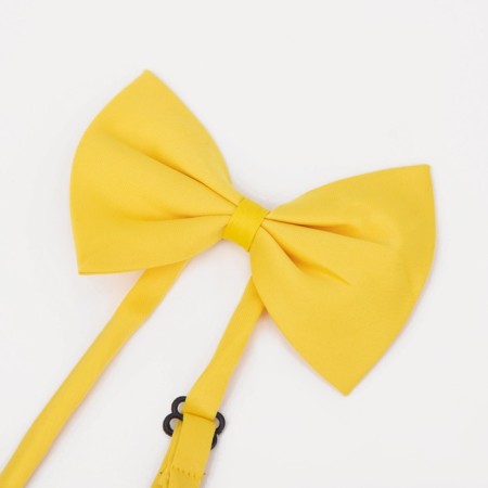 Buildings are children, width 2.5 cm, butterfly, yellow color-3