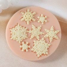 Mold Silicon 