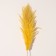Sukhotzet "Cortery", 1 branch, length 140-150 cm, yellow