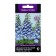 Flower seeds Dolphinium tall Magic Fontaines Sky Blue Blue Bee Bi, 10pcs