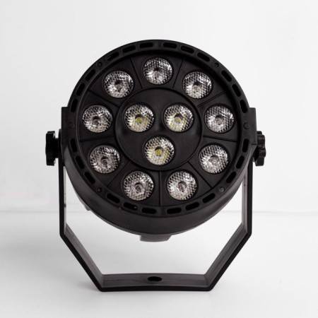 Flight for the scene 12 W, DMX control, glow RGBW, 220 V-2