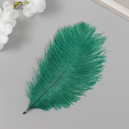 Pen of decorative ostrich "needles" h = 15-20 cm