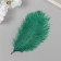Pen of decorative ostrich "needles" h = 15-20 cm