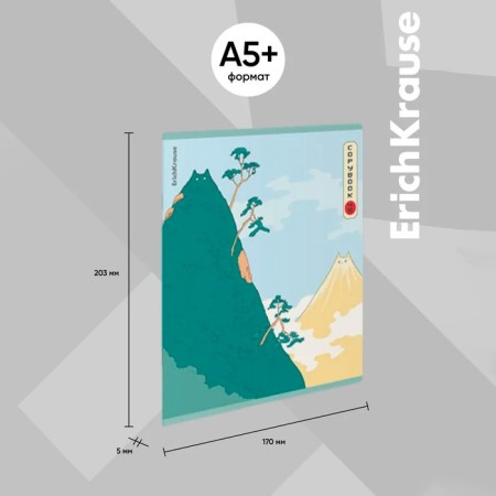 Notebook of 48 sheets in the Erichkrause Ceal "Find a cat", matte lamination, cover coated cardboard, offset unit, mix-10