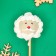 Cake Pops "New Year's Assorted", 30 g, mix
