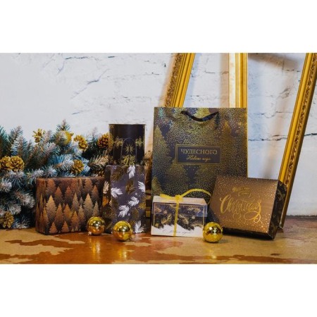 Laminated vertical package "Wonderful New Year", Ml 23 x 27 x 11.5 cm, New Year-4