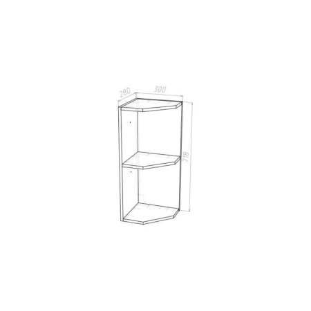 Cabinet Polina 300x300x720 final open wenge-1