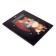 Diary solid cover 1-11 grade 40 sheets, faithful friend, glossy lamination