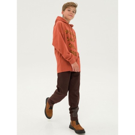 Sweatshirt for boys, height 158 ​​cm, copper color-5